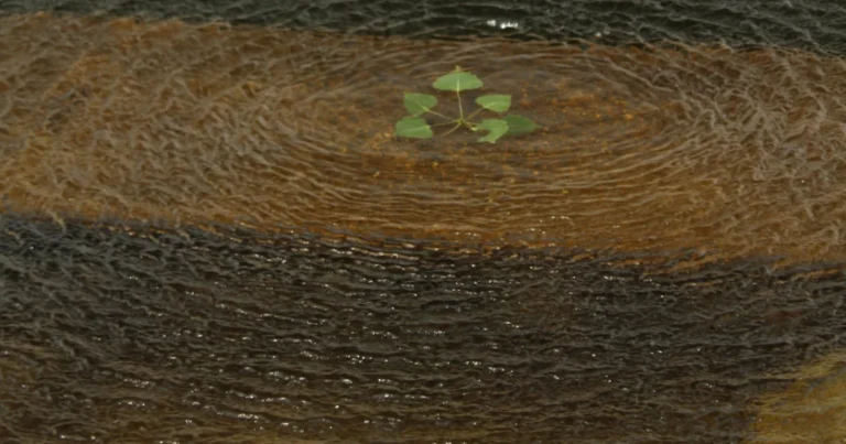 Featured image for What Is a Hover Device in the Water Discover 4 Thrilling Types 2025