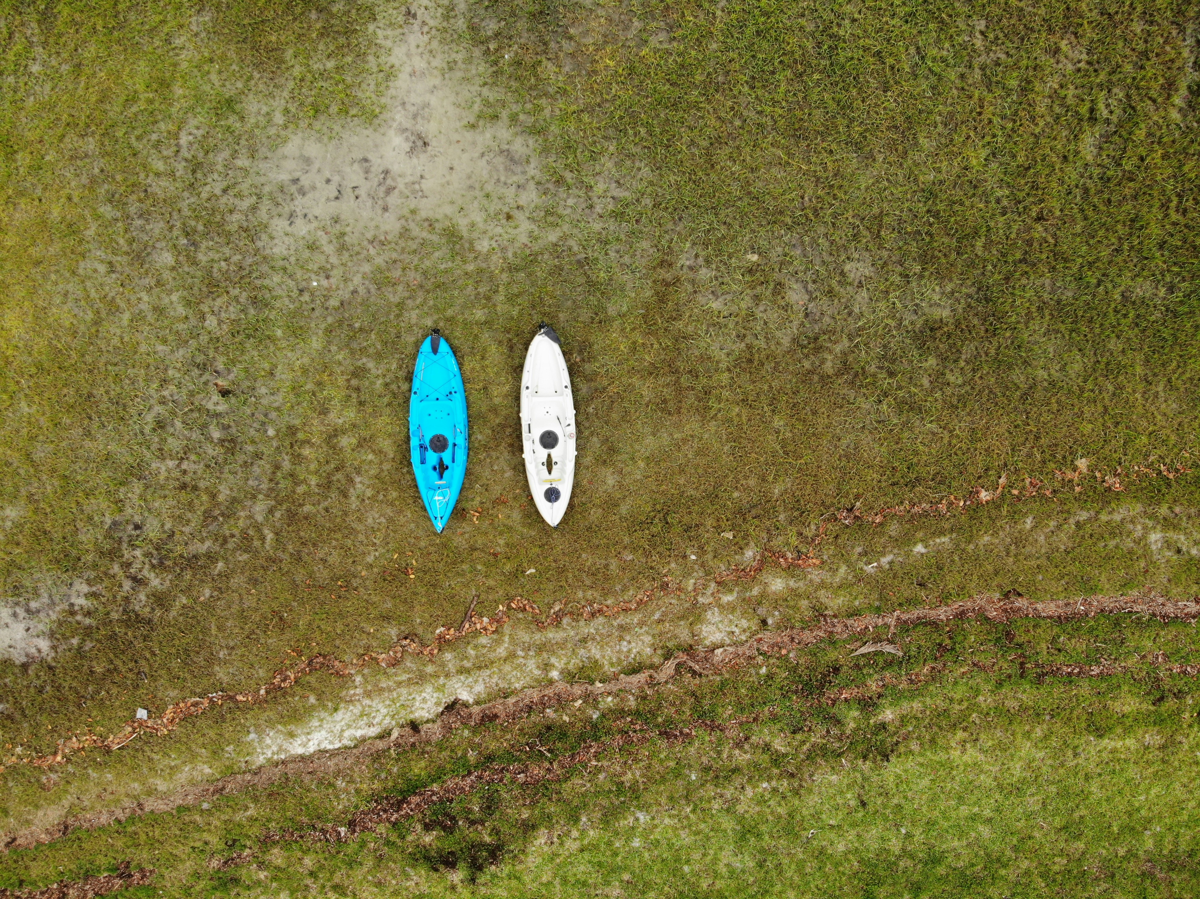 white and blue surfboard on green grass field during daytime